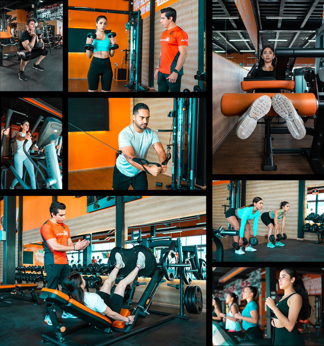 gym247-collage